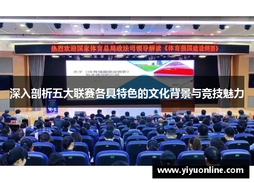 深入剖析五大联赛各具特色的文化背景与竞技魅力 深入剖析五大联赛各具特色的文化背景与竞技魅力
