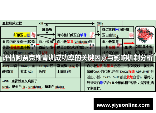 评估阿贾克斯青训成功率的关键因素与影响机制分析