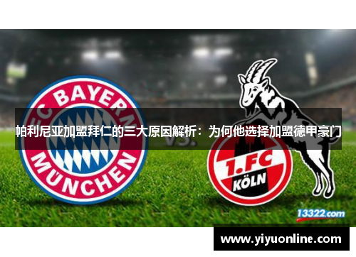 帕利尼亚加盟拜仁的三大原因解析:为何他选择加盟德甲豪门 帕利尼亚加盟拜仁的三大原因解析:为何他选择加盟德甲豪门