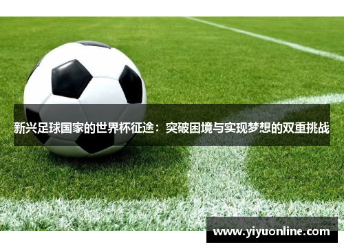 新兴足球国家的世界杯征途：突破困境与实现梦想的双重挑战