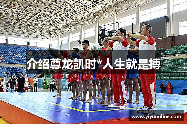 介绍尊龙凯时*人生就是搏